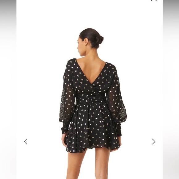 MISA Los Angeles Davie Ruched Metallic Chiffon Mini Dress (2 way wear) - Picture 2 of 16